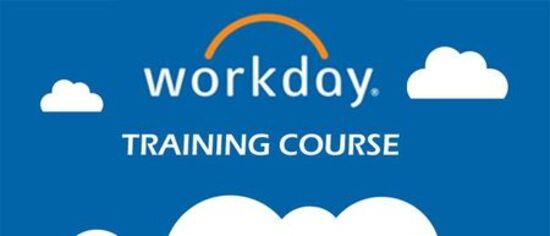 Online Workday Traning